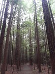 20171006_115956[1]