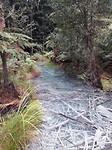 20171006_120507[1]