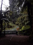 20171006_120910[1]