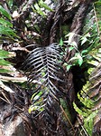 20171006_122523[1]