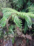 20171006_125223[1]