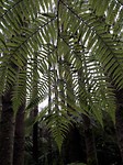 20171006_131121[1]