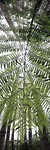 20171006_131253[1]