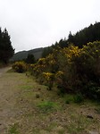 20171006_144420[1]