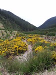 20171006_145646[1]