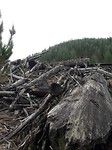 20171006_151436[1]