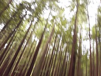 20171006_161637[1]