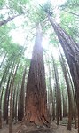 20171006_162044[1]