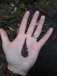 20171006_183516[1]