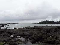 20171007_145918[1]
