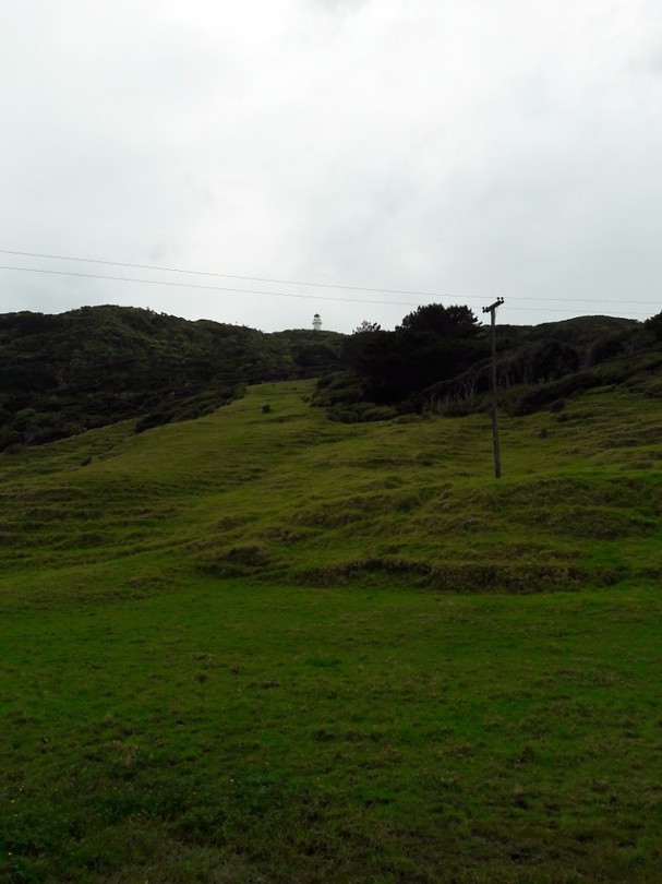 20171008_104611[1]