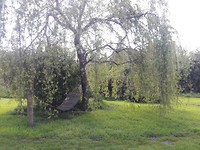 20171012_162021[1]