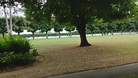 American Cemetery WO I  1918