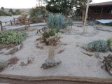 Tuin op de camping