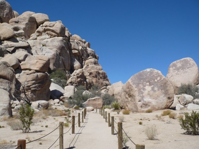 Hidden Valley Trail
