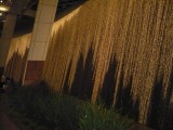 Muur van water