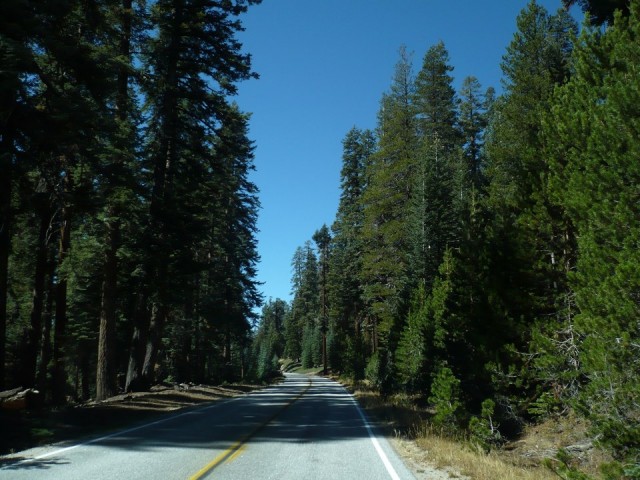 Highway door Yosemite