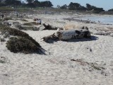 Het strand
