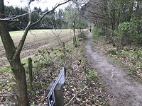 Wandel Leudal