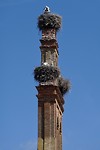 P1020699