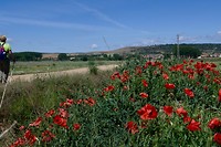 P1020714