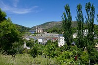 P1030536
