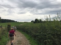 IMG_5968 (1)