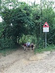 IMG_5969 (1)