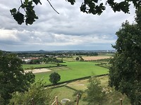 IMG_5971 (1)