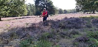 20190822_105851_resized