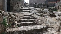 IMG_1788