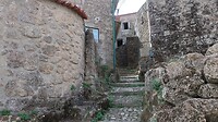 IMG_1848