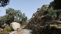 IMG_1860