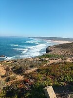 Bordeira
