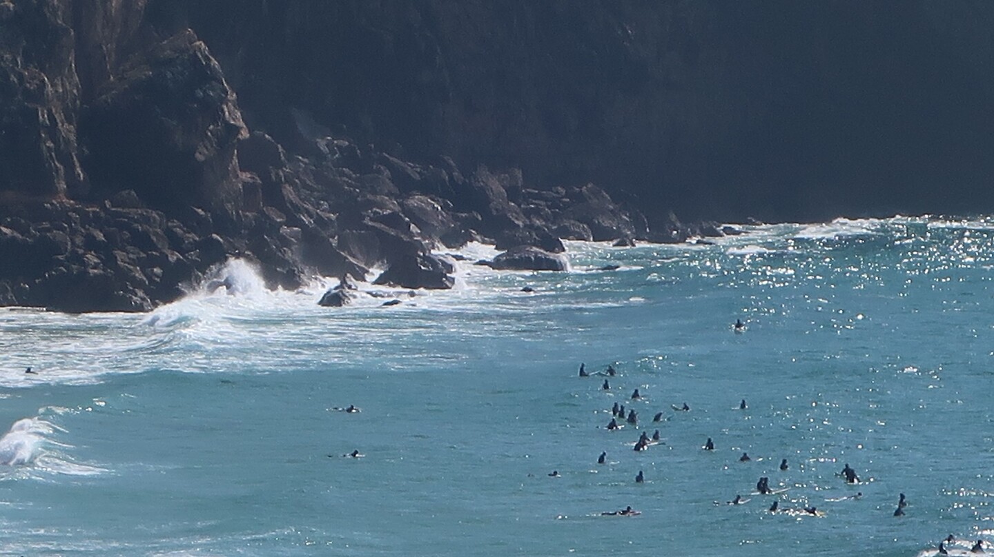 Surfers