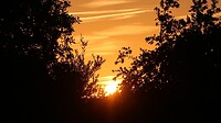 IMG_1985