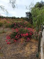 20221024_133924 (1)