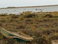 Ria Formosa