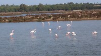 IMG_2022