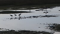 IMG_2026