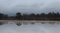 IMG_2042