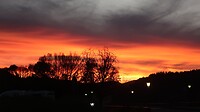 IMG_2421