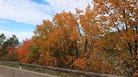Herfst kleuren bij Millau