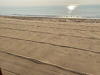 IMG_1090