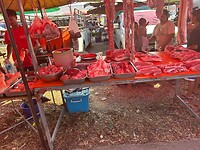 IMG_1128