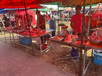 IMG_1129
