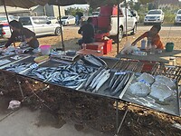 IMG_1130