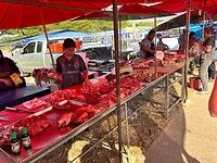 IMG_1131