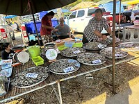 IMG_1132