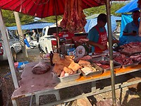 IMG_1134